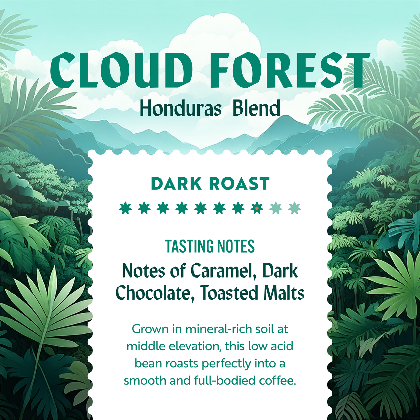 Cloud Forest (Dark Roast)