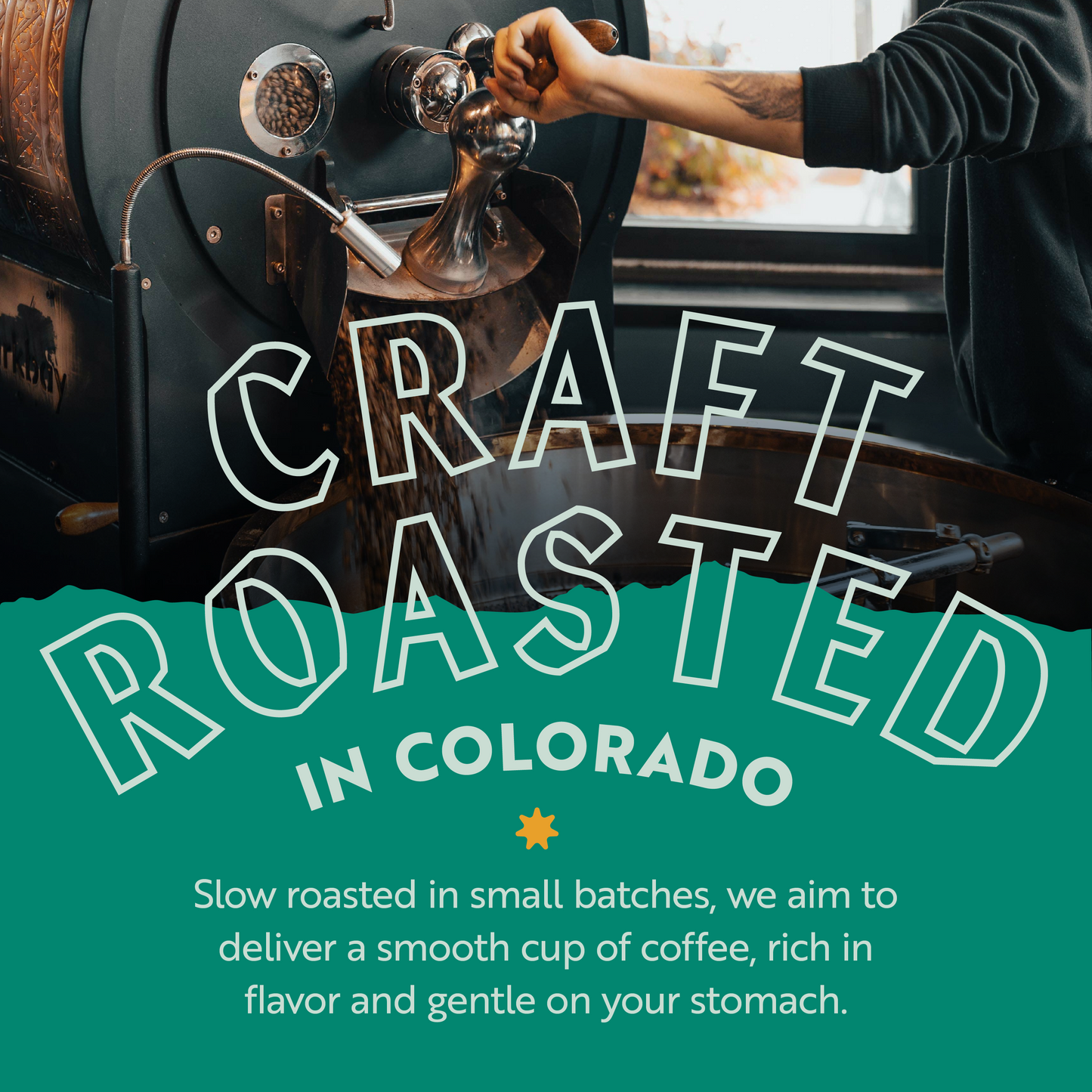Cloud Forest (Dark Roast)