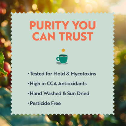 Equatorial (Medium / Dark Roast)